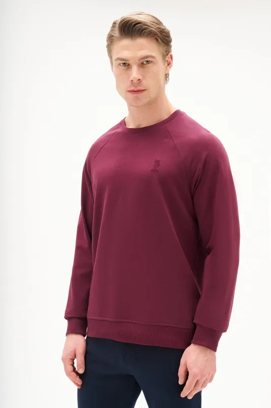 Свитшот однотонный с логотипом - G081SZ0820ART_OUTGRARDOSK25 Толстовка муж. (VR177, S)