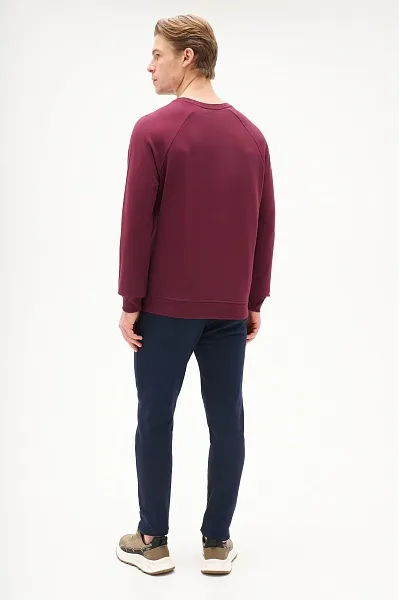Свитшот однотонный с логотипом - G081SZ0820ART_OUTGRARDOSK25 Толстовка муж. (VR177, S)