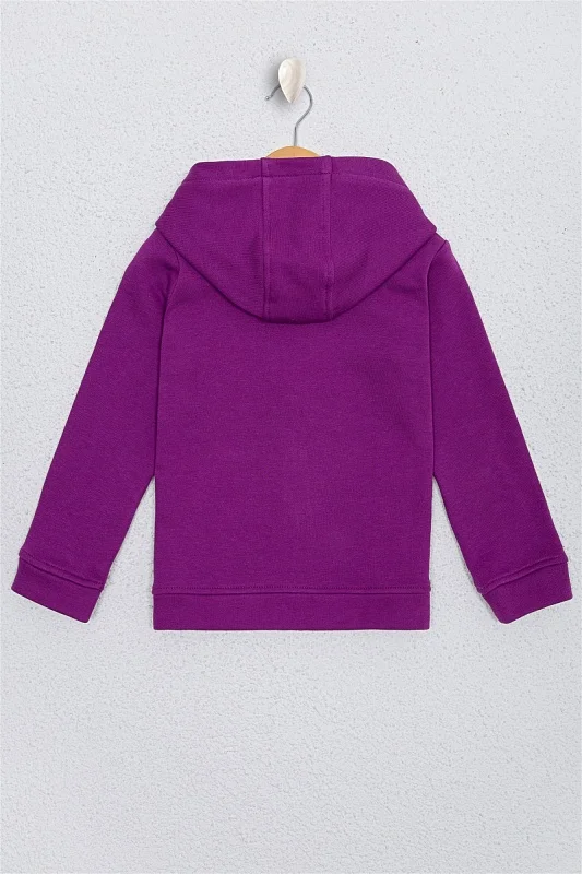 Толстовка на молнии из хлопка с нашивкой из пайеток для девочек - G084SZ0820RW01-SK020 Толстовка жен. детс. (VR037, 5_6)