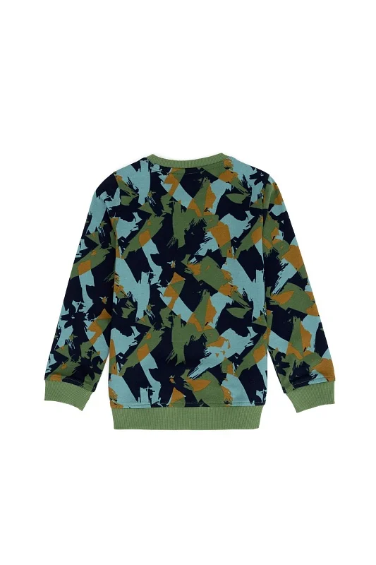 Свитшот из хлопка с принтом для мальчиков - G083SZ0820NOROKIDS Толстовка муж. детс. (VR054, 4_5)