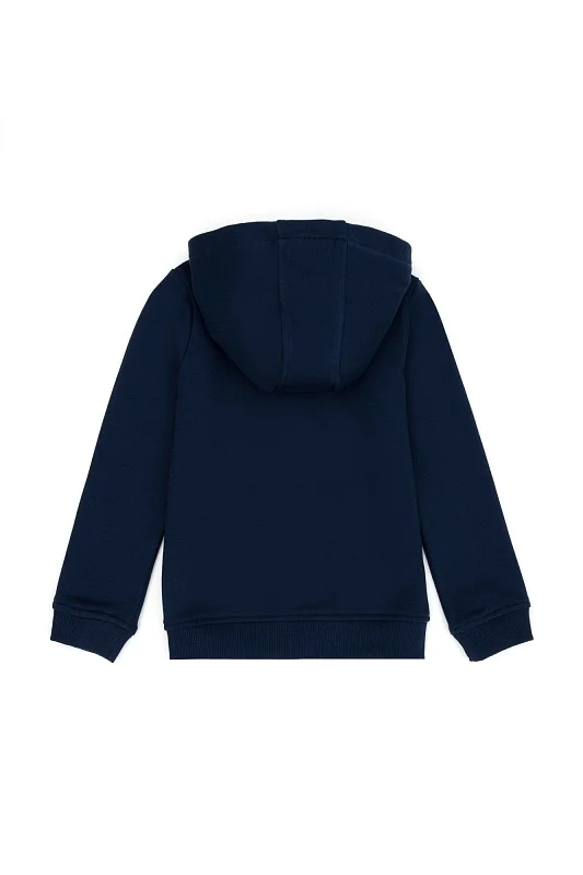 Толстовка на молнии с капюшоном для мальчиков - G083SZ0820GARMANKIDSSK023 Толстовка муж. детс. (VR033, 9_10)