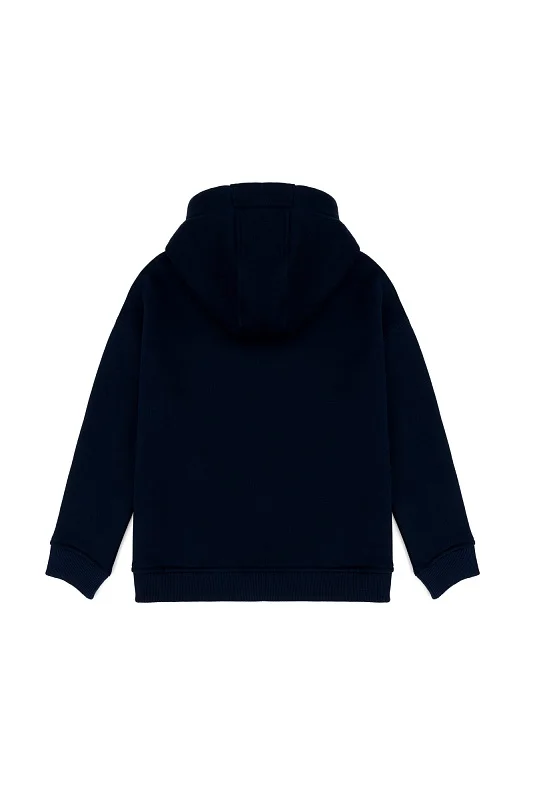 Толстовка на молнии с капюшоном для мальчиков - G083SZ0820GATNARKIDS Толстовка муж. детс. (VR033, 7_8)