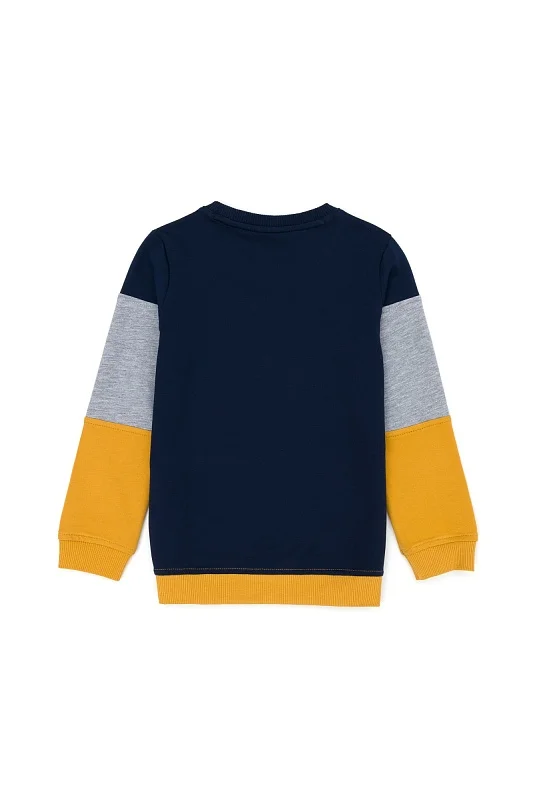 Свитшот с контрастными блоками для мальчиков - G083SZ0820JOHNSON-E Толстовка муж. детс. (VR072, 4_5)
