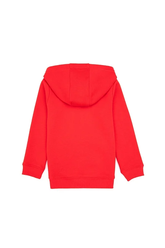 Худи на флисе для мальчиков - G083SZ0820E_NAOMIKIDS25K Толстовка муж. детс. (VR030, 7_8)