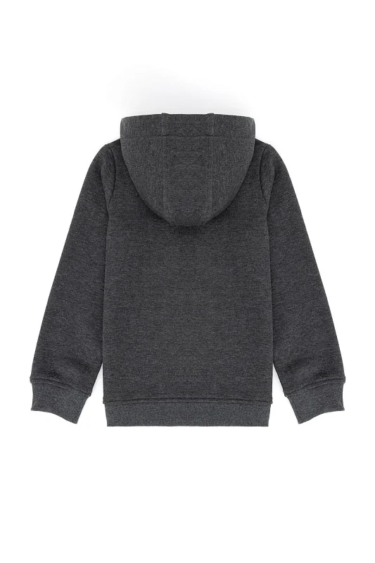 Толстовка на молнии с капюшоном для мальчиков - G083SZ0820ERMANKIDS23K-E Толстовка муж. детс. (VR081, 8_9)