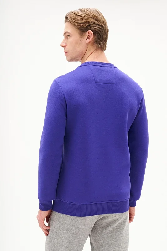 Свитшот на флисе - G081SZ0820ARDONSK024_R Толстовка муж. (VR212, XS)