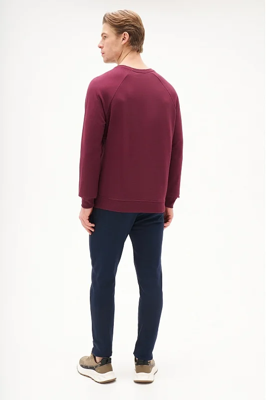 Свитшот однотонный с логотипом - G081SZ0820ART_OUTGRARDOSK25 Толстовка муж. (VR177, S)