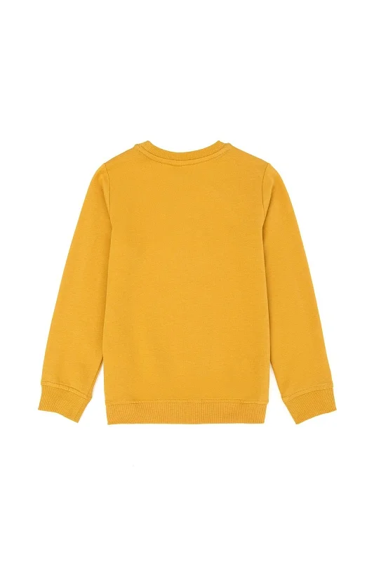 Свитшот из хлопка с принтом для мальчиков - G083SZ0820JEREMYKIDSSK023-B Толстовка муж. детс. (VR072, 2)