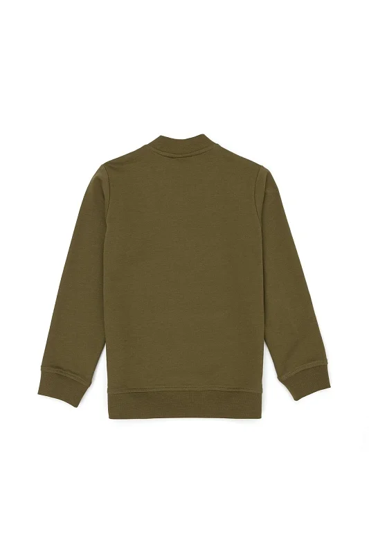 Толстовка без капюшона с горлом на молнии для мальчиков - G083SZ0820TEMPURA-E Толстовка муж. детс. (VR027, 6_7)