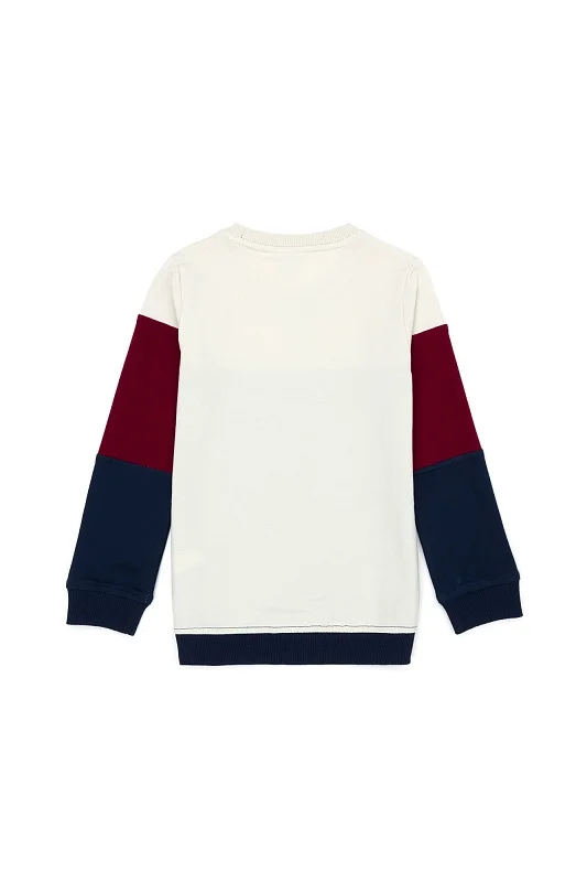 Свитшот с контрастными блоками для мальчиков - G083SZ0820JOHNSON-E Толстовка муж. детс. (VR033, 5_6)