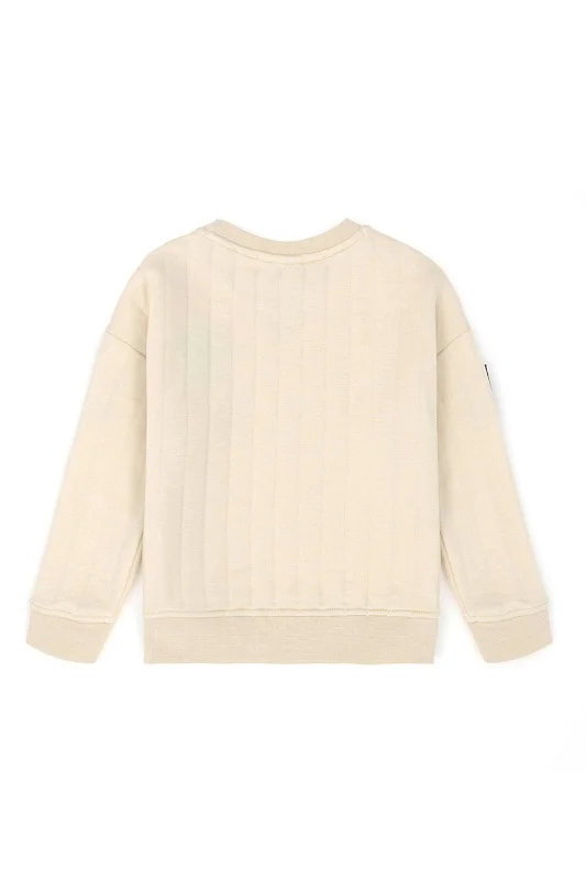 Свитшот с нашивкой для мальчиков - G083SZ0820KURESKIDS Толстовка муж. детс. (VR049, 4_5)