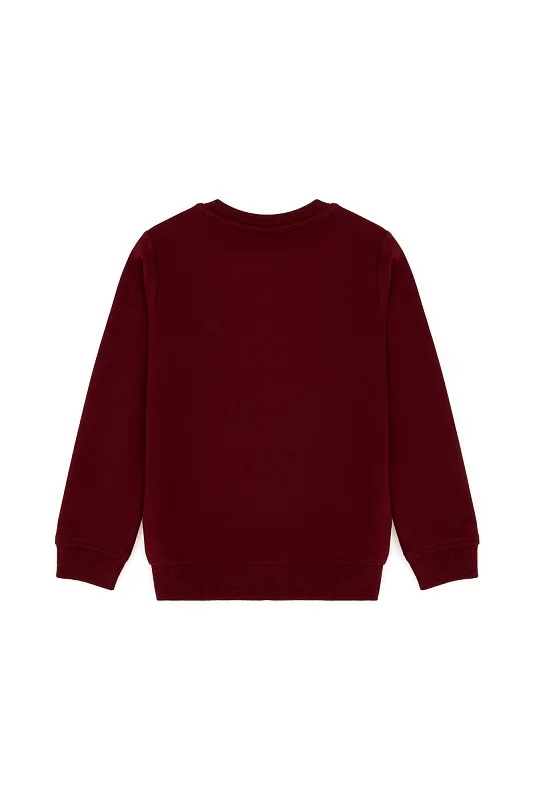 Свитшот из хлопка с логотипом для мальчиков - G083SZ0820JELLYKIDSSK023-B Толстовка муж. детс. (VR014, 1)