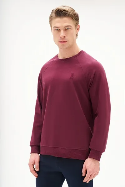 Свитшот однотонный с логотипом - G081SZ0820ART_OUTGRARDOSK25 Толстовка муж. (VR177, S)
