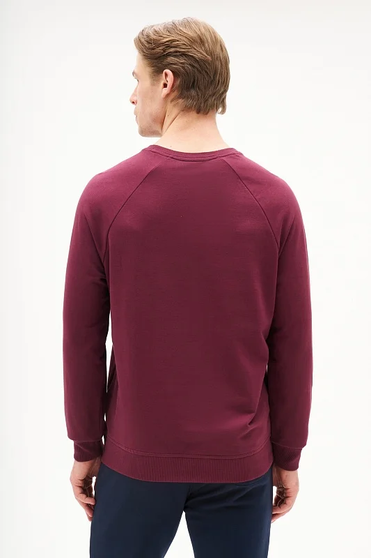Свитшот однотонный с логотипом - G081SZ0820ART_OUTGRARDOSK25 Толстовка муж. (VR177, S)
