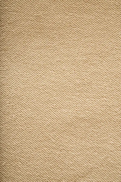 Свитшот с хлопком - G082SZ0820R_FELTA Толстовка жен. (VR183, XS)