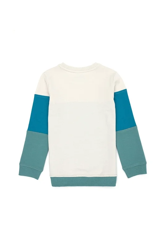 Свитшот с контрастными блоками для мальчиков - G083SZ0820JOHNSON-E Толстовка муж. детс. (VR090, 3_4)