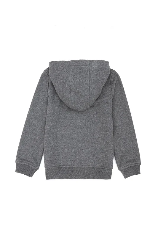 Толстовка на молнии с капюшоном для мальчиков - G083SZ0820GARMANKIDSSK023 Толстовка муж. детс. (VR081, 3_4)