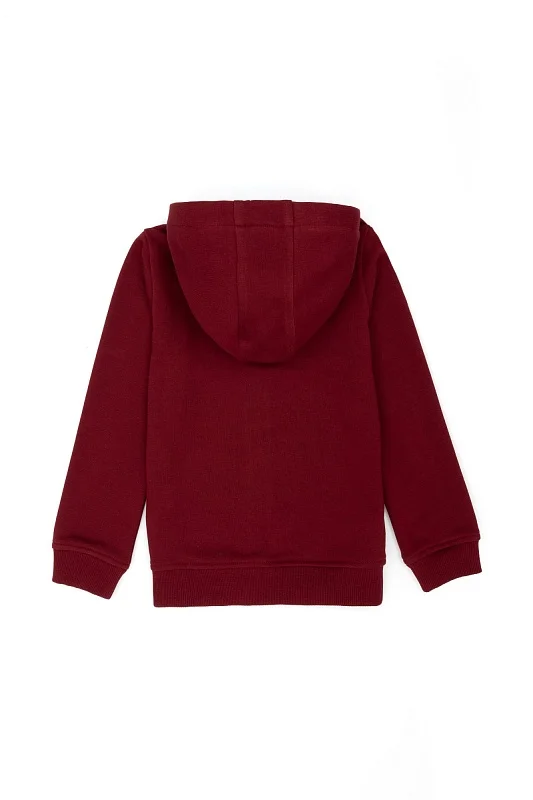 Толстовка на молнии с капюшоном для мальчиков - G083SZ0820GARMANKIDSSK023 Толстовка муж. детс. (VR014, 3_4)