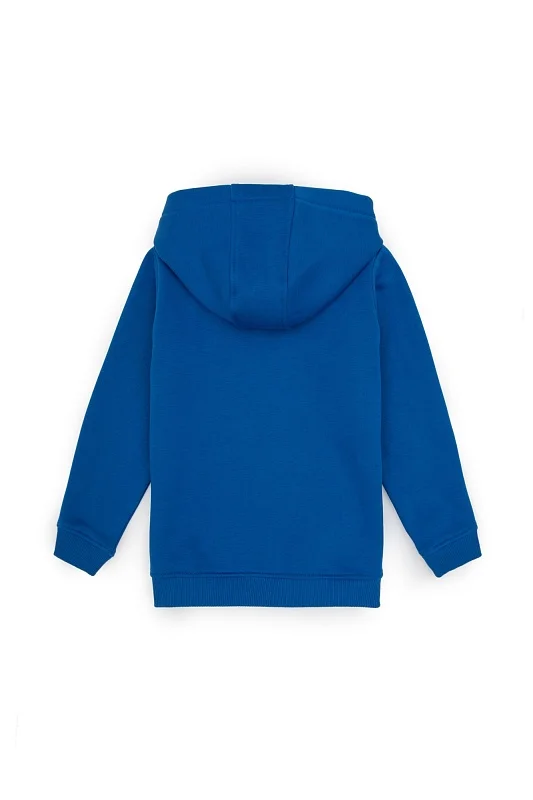Худи на флисе для мальчиков - G083SZ0820E_NAOMIKIDS25K Толстовка муж. детс. (VR032, 4_5)