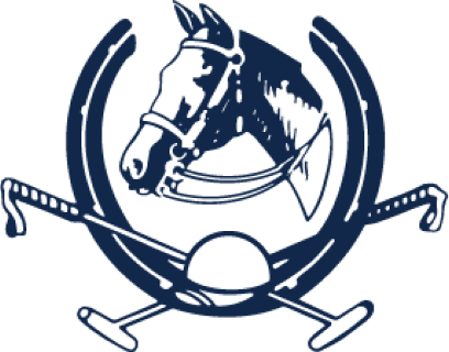 Основана Ассоциация Конного Поло в Америке (United States  Polo Association)