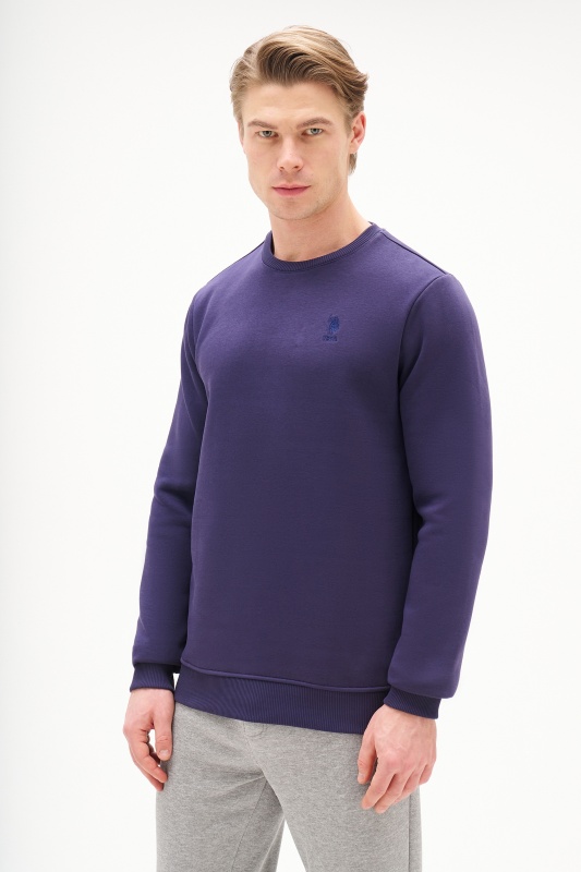 фиолетовый