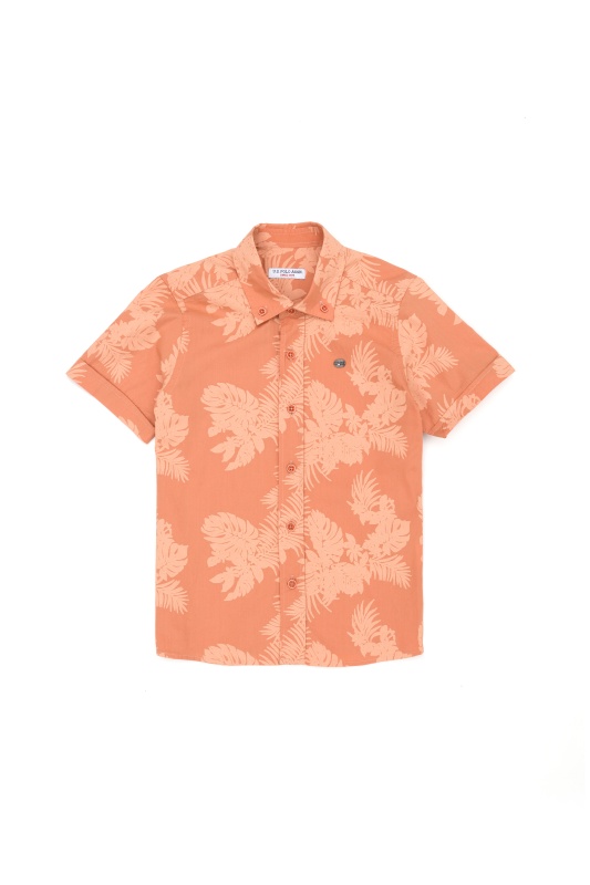 коралловый