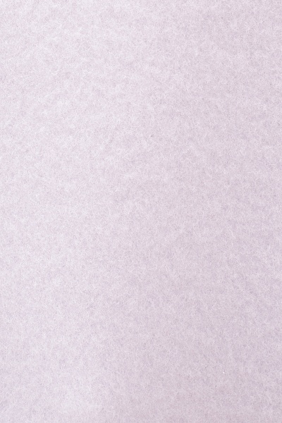 Худи на флисе - G082SZ0820ART_KUR_SK025 Толстовка жен. (VR245, XS)