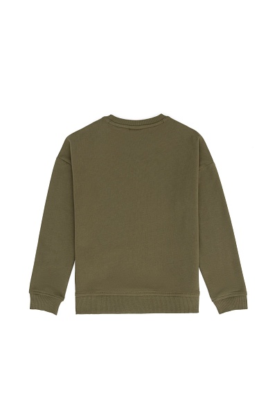 Свитшот с принтом для мальчиков - G083SZ0820YUSENKIDS Толстовка муж. детс. (VR027, 9_10)
