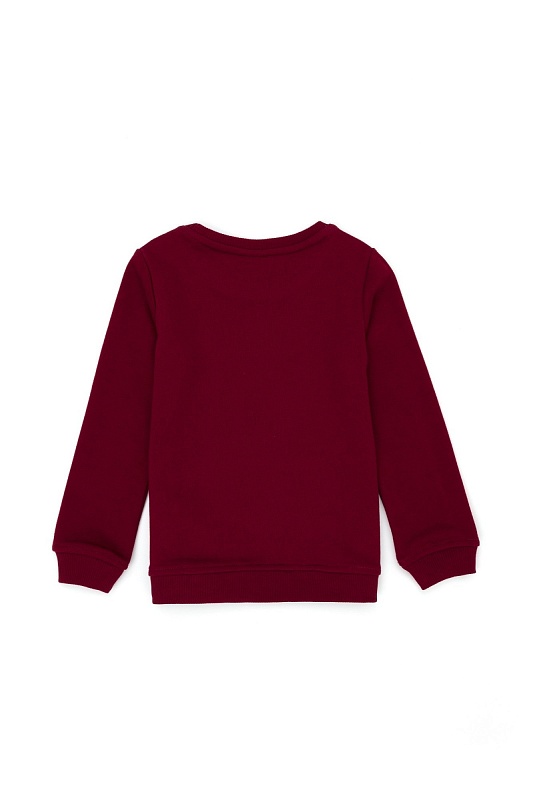 Свитшот с карманом кенгуру для мальчиков - G083SZ0820MIYAKI-E Толстовка муж. детс. (VR014, 3_4)