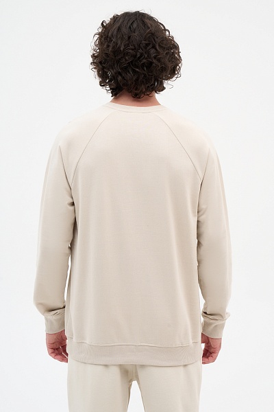 Свитшот однотонный - G081SZ0820GRARDOIY023-R Толстовка муж. (VR049, S)