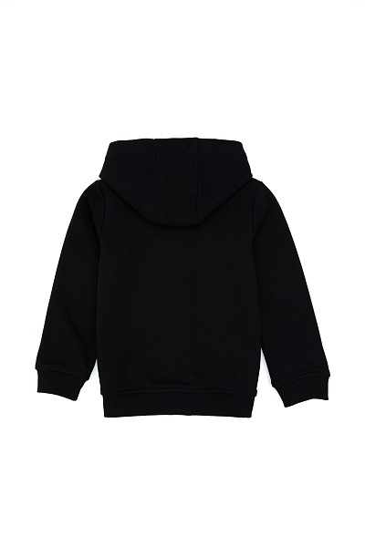 Толстовка на молнии с капюшоном - G083SZ0820GARMANKIDSSK025 Толстовка муж. детс. (VR046, 8_9)
