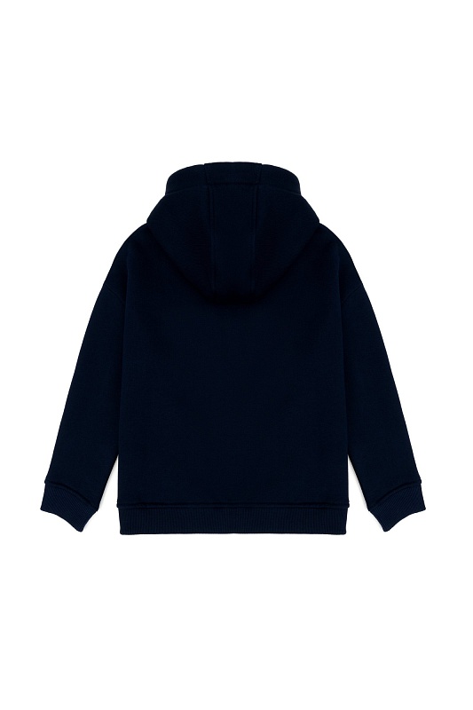 Толстовка на молнии с капюшоном для мальчиков - G083SZ0820GATNARKIDS Толстовка муж. детс. (VR033, 7_8)