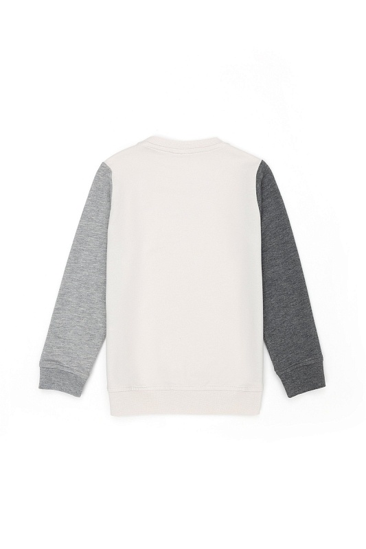 Свитшот с принтом для мальчиков - G083SZ0820SOLOMKIDS-E Толстовка муж. детс. (VR049, 11_12)