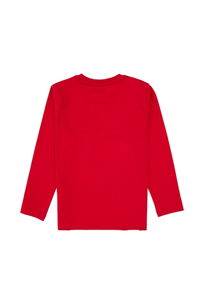 Свитшот и спортивные брюки из хлопка для мальчиков - G083SZ0HF0US2233 Костюм дом. муж. детс. (VR030, 14_15)
