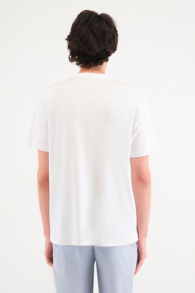 Футболка из хлопка - G081SZ0110ART_GTS01IY26 Футболка муж. (VR013, 4XL)
