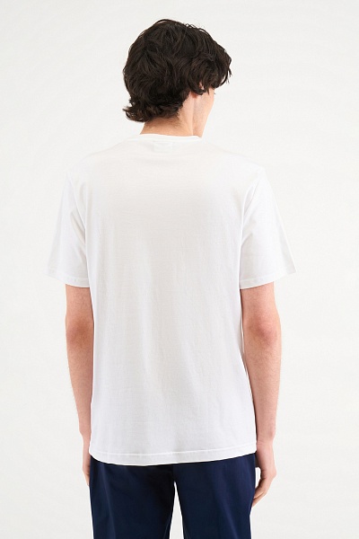 Футболка из премиального хлопка - G081SZ0110ART_TS01IY26 Футболка муж. (VR013, 4XL)