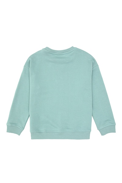 Свитшот с хлопком для мальчиков - G083SZ0820E_NAOMIBISKIDS25K Толстовка муж. детс. (VR090, 4_5)