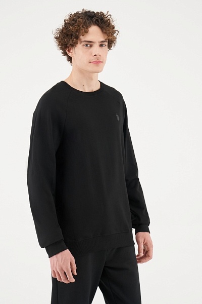 Свитшот из хлопка - G081SZ0820ART_GRARDOIY025 Толстовка муж. (VR046, 2XL)