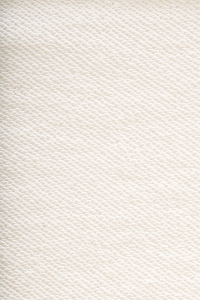 Худи с логотипом - G082SZ0820R_FECAZ Толстовка жен. (VR019, L)