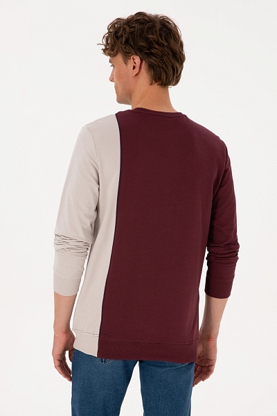 Свитшот из хлопка - G081SZ0820E_LORIVEL Толстовка муж. (VR177, XL)