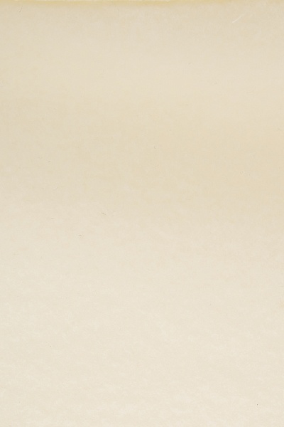 Худи на флисе - G082SZ0820ART_KUR_SK025 Толстовка жен. (VR256, XL)