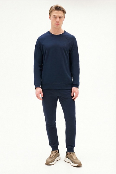 Спортивные брюки на манжетах - G081SZ0OP0ART_HEROLDSK025 Брюки спорт. муж. (VR033, XL)
