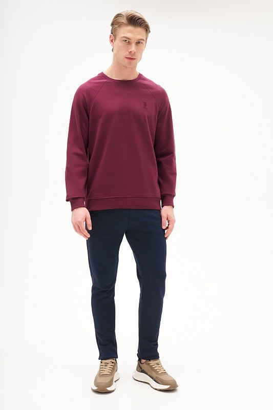 Свитшот однотонный с логотипом - G081SZ0820ART_OUTGRARDOSK25 Толстовка муж. (VR177, 2XL)
