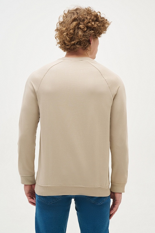 Свитшот из хлопка - G081SZ0820RARDO_R Толстовка муж. (VR183, L)
