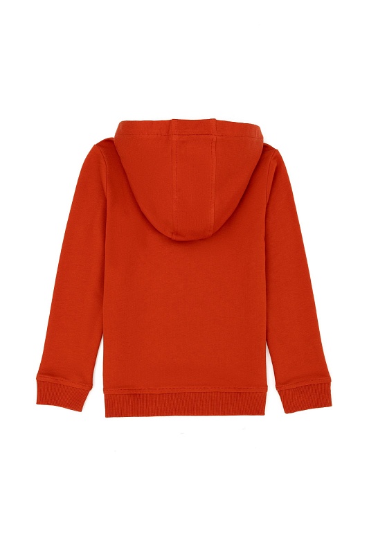 Худи из хлопка с принтом для мальчиков - G083SZ0820AMATASK023 Толстовка муж. детс. (VR031, 3_4)