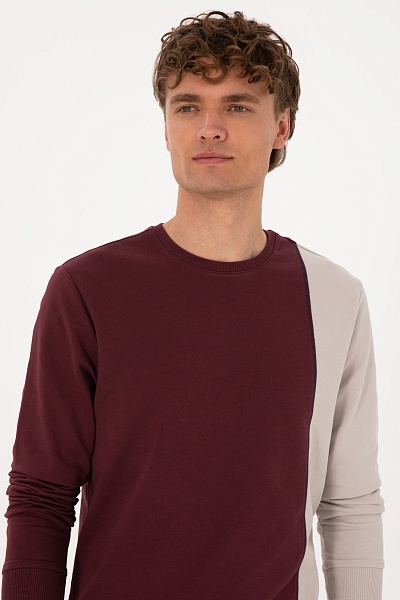 Свитшот из хлопка - G081SZ0820E_LORIVEL Толстовка муж. (VR177, XL)