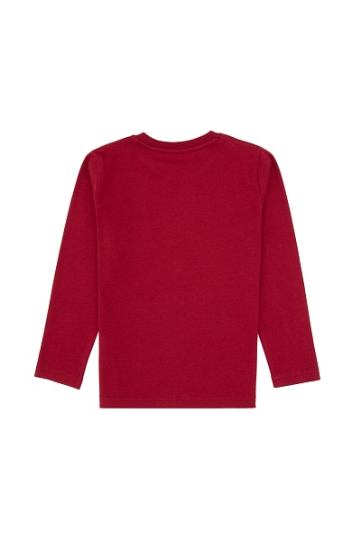 Свитшот и спортивные брюки для мальчиков - G083SZ0HF0US2203 Костюм дом. муж. детс. (VR014, 10_11)