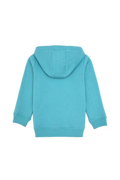 Худи на флисе для мальчиков - G083SZ0820E_NAOMIKIDS25K Толстовка муж. детс. (VR152, 13_14)