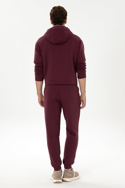 Спортивные брюки на манжетах - G081SZ0OP0E_GERTANA Брюки спорт. муж. (VR177, XL)