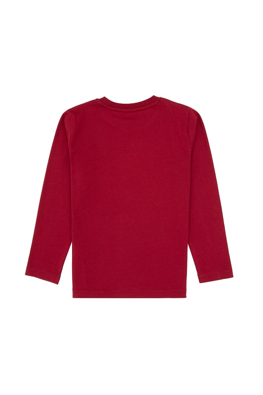 Свитшот и спортивные брюки для мальчиков - G083SZ0HF0US2203 Костюм дом. муж. детс. (VR014, 4_5)